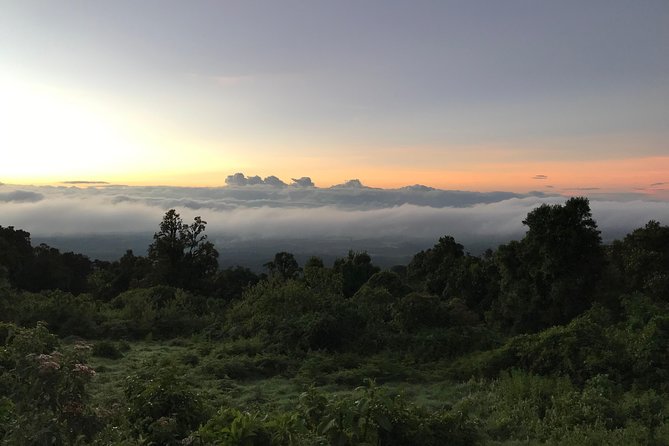 Private Full-Day Ngorongoro Safari Tour in Tanzania - Tour Details