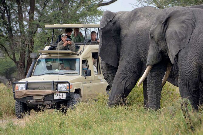 Private Full-Day Tarangire National Park Tour From Arusha - Wildlife Encounters