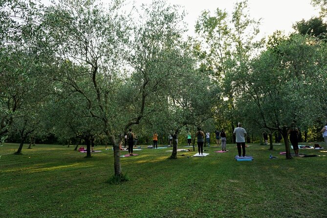 Private Full Day Tour and Yoga of the Prosecco Hills - Meeting and Pickup