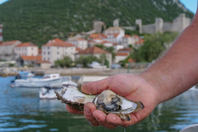Private Full Day Tour From Dubrovnik: Ston With Wine Tastings - Tour Highlights