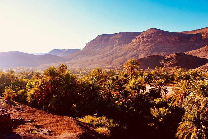 Private Full-Day Tour of Ouarzazate and Oasis Fint