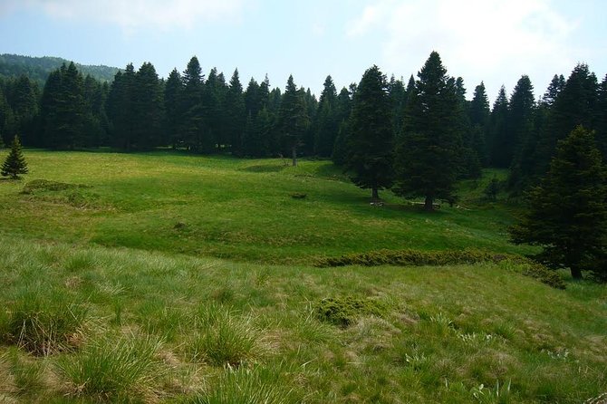 Private Green Bursa Day Tour From Istanbul - Tour Highlights