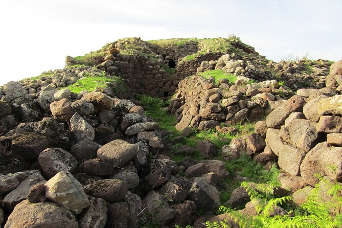 Private Guided Tour to Borore in the Bronze Age - Accessibility Information