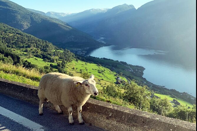 Private Guided Tour to Oslo Nærøyfjord Cruise and Flåm Railway - Itinerary Overview