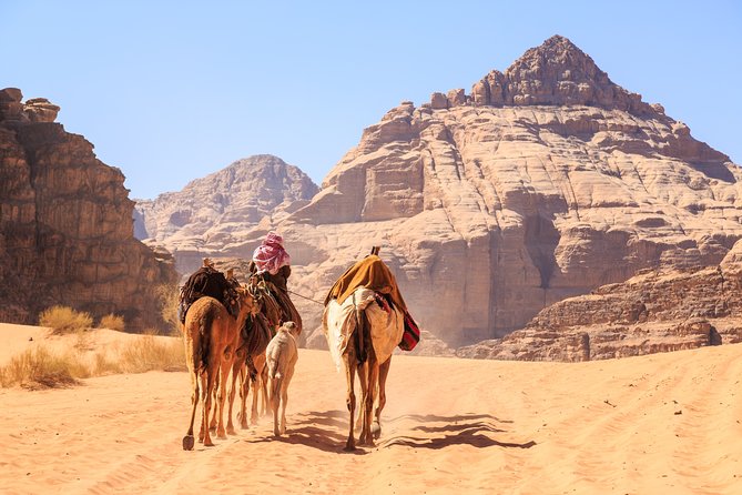 Private Half-Day Aqaba Shore Excursion to Wadi Rum Lawrence of Arabia