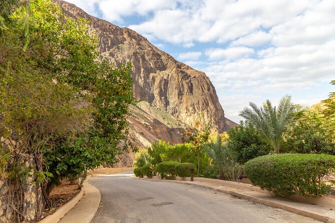 Private Half-Day Main Waterfalls and Hot Springs Tour From Amman - Meeting and Pickup
