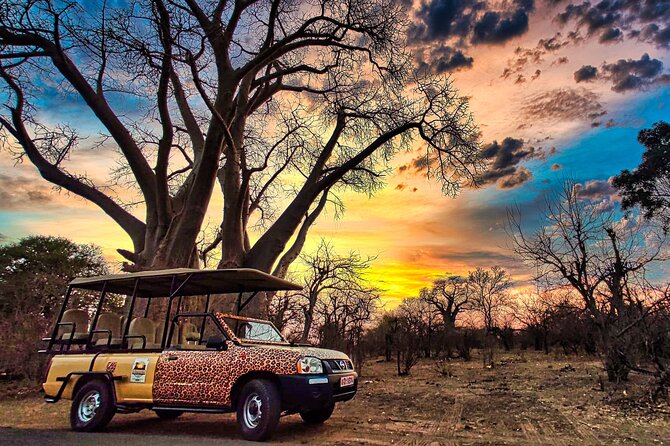 Private Half Day Safari With High Tea Experience in National Park - High Tea Experience Details