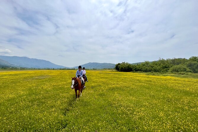 Private Horseback Riding Across River Ljuta With Transport - Included Amenities