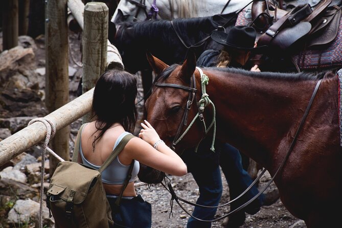 Private Horseback Riding Experience on Vesuvius and Product Tasting