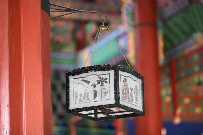 Private Layover Tour From Incheon Airport to Seoul - Inclusions and Amenities