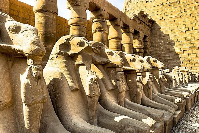 Private Luxor Day Tour From Aswan - Tour Highlights