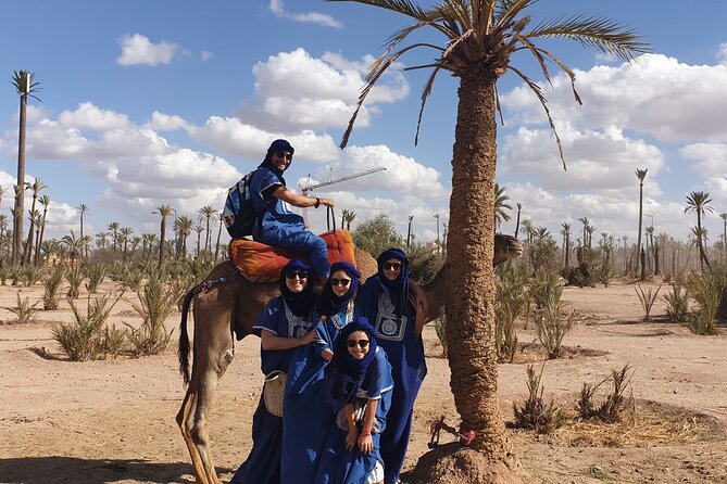 Private Majorel Garden and Camel Ride - Transportation: Air-Conditioned Vehicle