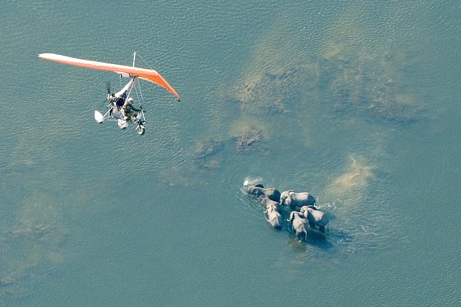 Private Microlight Flight Above the Falls - Pricing and Reviews
