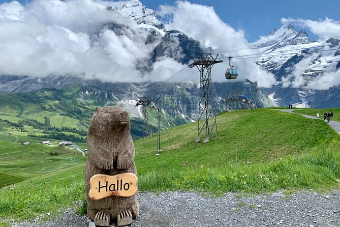 Private Mountain and Hiking Tour From Zurich - Booking Information