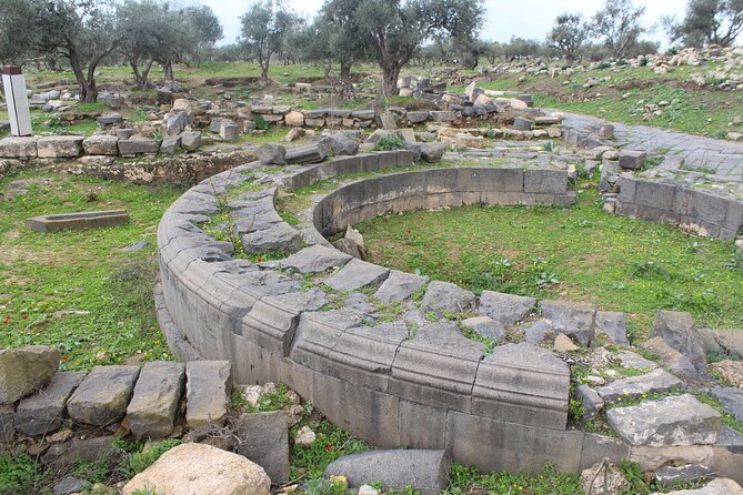 Private North Tour to Jerash, Ajloun, and Umm Qais From Amman - Inclusions and Exclusions
