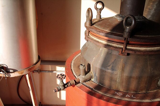 Private Prosecco and Brilliant Gin Tasting Experience From Venice - Experience Highlights