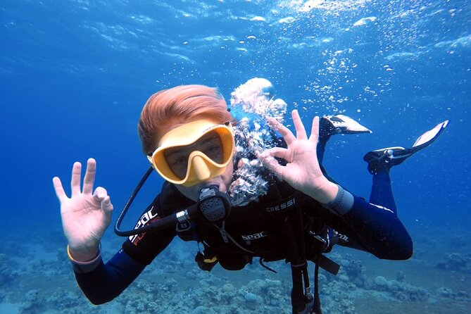 Private Scuba Diving Adventure in the Red Sea of Aqaba - Inclusions and Exclusions
