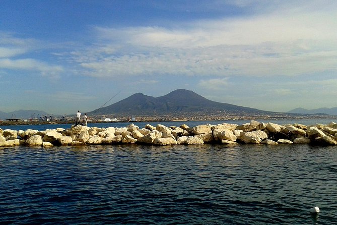 Private Shore Excursion From Naples to Pompeii and Mt Vesuvius for Families - Whats Included