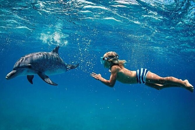 Private Speed Boat Tour and Dolphin Encounter at Ile Aux Benitier - Pricing Information
