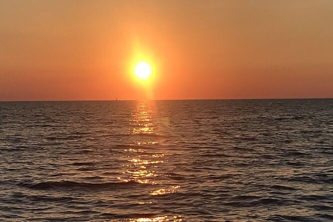 Private Sunset Cruise With Dolphin Watching in Medulin - End Point and The Sum Up of Activity