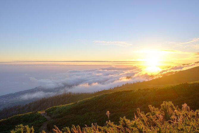 Private Sunset Tour With Food and Drinks in Fanal Forest - Inclusions: Dinner, Beverages, Snacks
