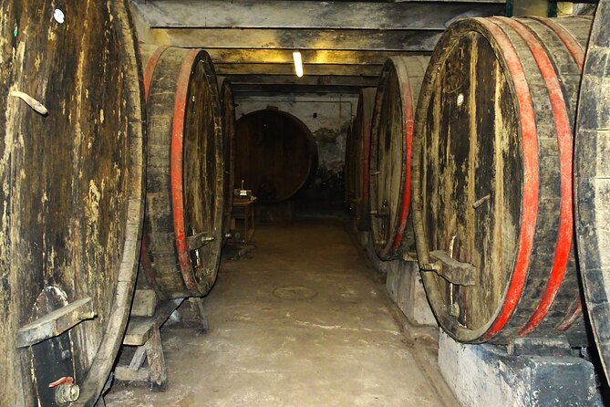 Private Tasting of Organic Wines in the Cellar in Arezzo - Featured Organic Wines