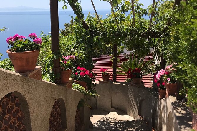 Private Tour Amalfi Coast Full Day From Napoli or Amalfi Coast - Additional Information