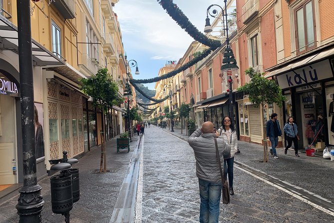 Private Tour | From Naples, Pompeii Ruins to Sorrento With Driver - Tour Highlights