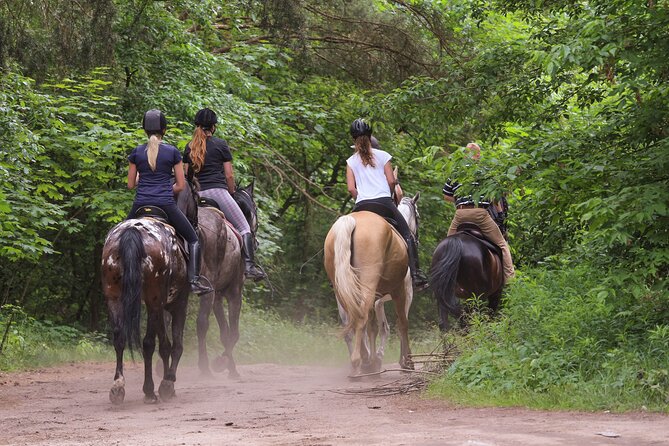 Private Tour in Arusha National Park - Free Cancellation Policy