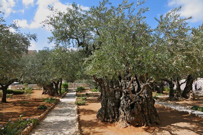 Private Tour : Jerusalem Old City Day Trip From Jerusalem - Pickup and Drop-off Details