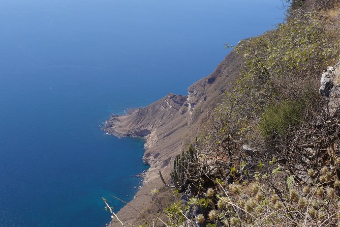 Private Tour Mountains and Beaches of the West Coast (Fazaya Beach+Shaat Cliff) - Tour Highlights