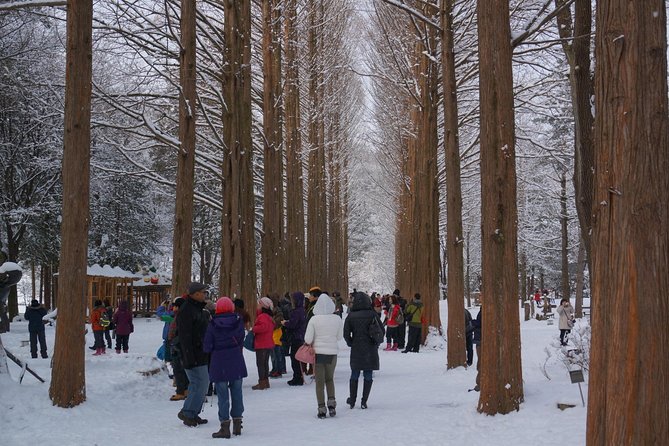 Private Tour Nami Island With Petite France And/Or the Garden of Morning Calm - Positive Reviews and Feedback