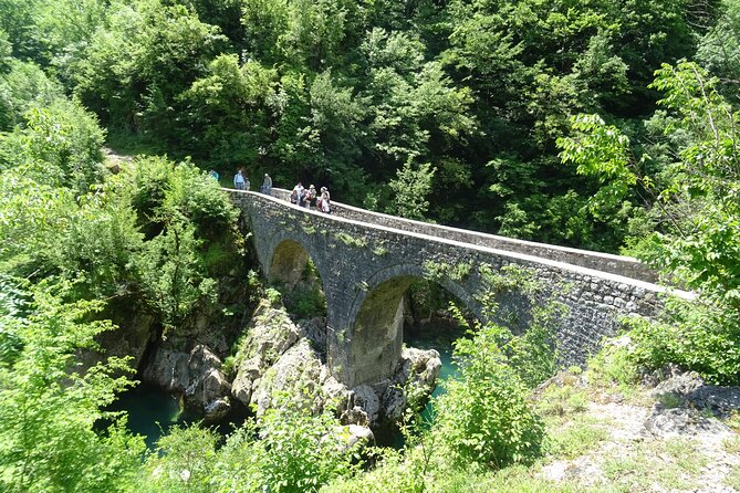 Private Tour- NP Biogradska Gora, Moraca Canyon & Monastery - Pickup Information
