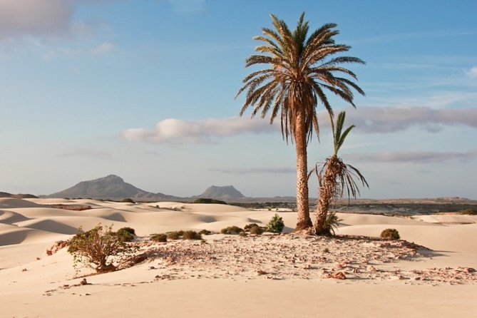 Private Tour of Ervatao and North With Boa Vista and Cape Verde - Pickup Points