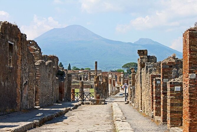 Private Tour Pompeii and Vesuvio Park From Napoli or Amalfi Coast - Tour Details