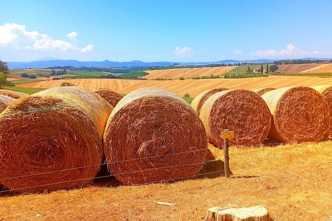 PRIVATE TOUR: Sweet Hills of Chianti & Siena + Lunch & 2 Tastings - Tour Highlights