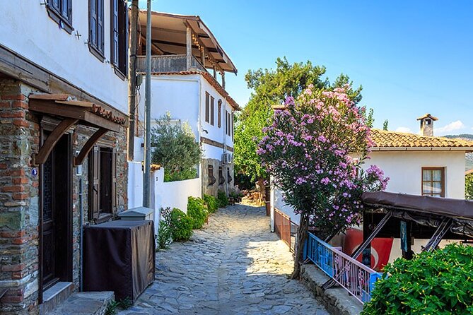 Private Tour to Ephesus From Kusadasi, Istanbul & Bodrum - What To Expect