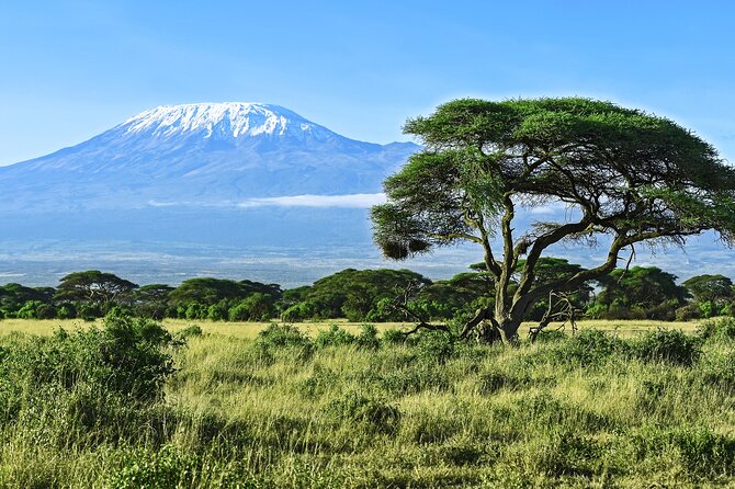 Private Tour to Marangu Waterfalls, Chagga Caves, Coffee Tour & Hot Springs - Booking Information