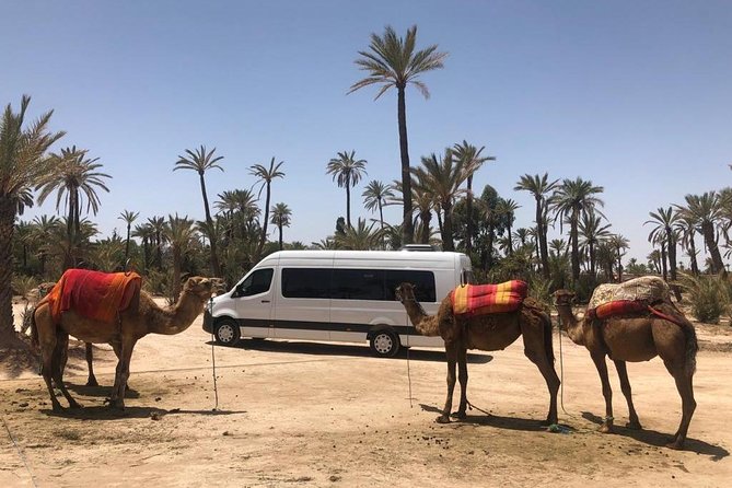 Private Transfer From Marrakech To Casablanca City - Cancellation Policy