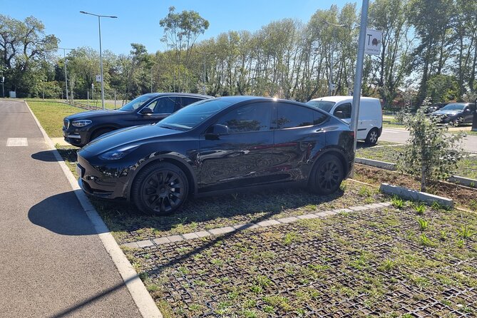 Private Transfer With an Electric Car in Marseille - Customer Reviews and Ratings