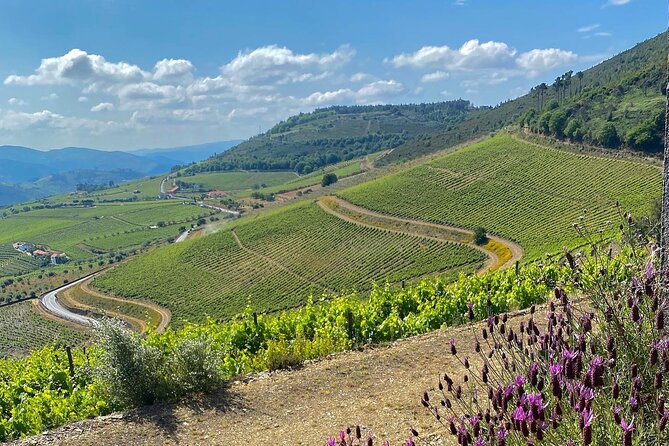 Private Walk Through Quinta Do Portal With Lunch and Wine - Guided Activities