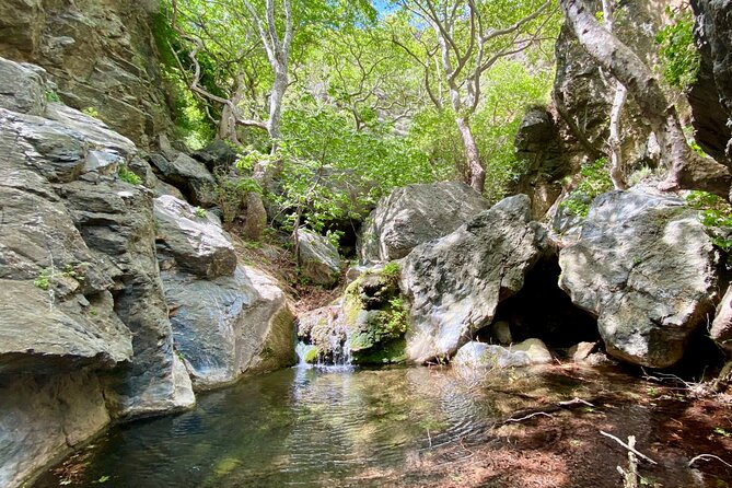 Private Waterfall Hiking in Richtis Gorge - Pickup: Various Points, Specify Accommodation