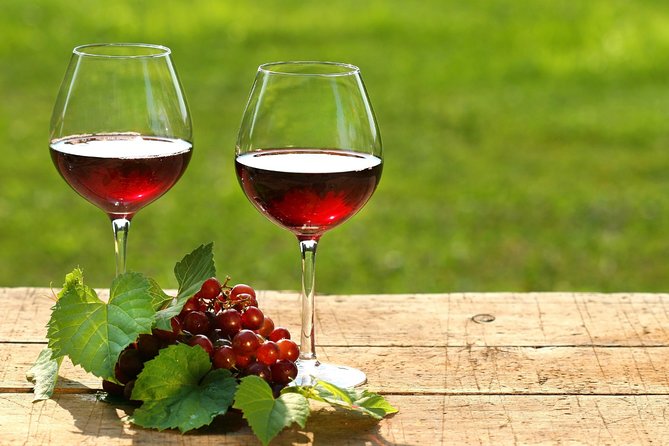 Private Wine Tour of Stobi Winery From Skopje - Gourmet Snacks Included