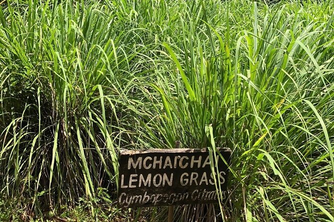 Private Zanzibar Spice Farm Tour - Pickup Details