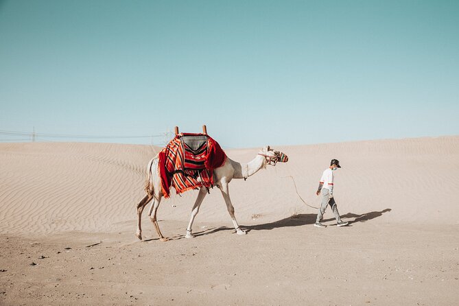 4 Best Bike Tours In Jeddah