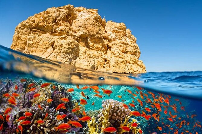 Ras Mohamed by Bus With Snorkeling and Magic Lake From Sharm - Tour Highlights