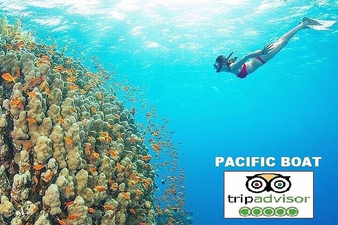 Real Snorkel & Island Hopping Trip by SPEEDBOAT With Small Group - Booking Details