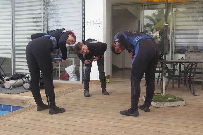 Refresh Dive for Certified Divers