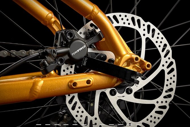 Rent a Bike Full Day From Coimbra - Pricing and Lowest Price Guarantee