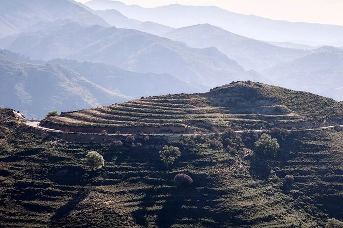 Rethymno Luxury Jeep Tour in Cretan Viniculture and Olive Farming - Pickup Options